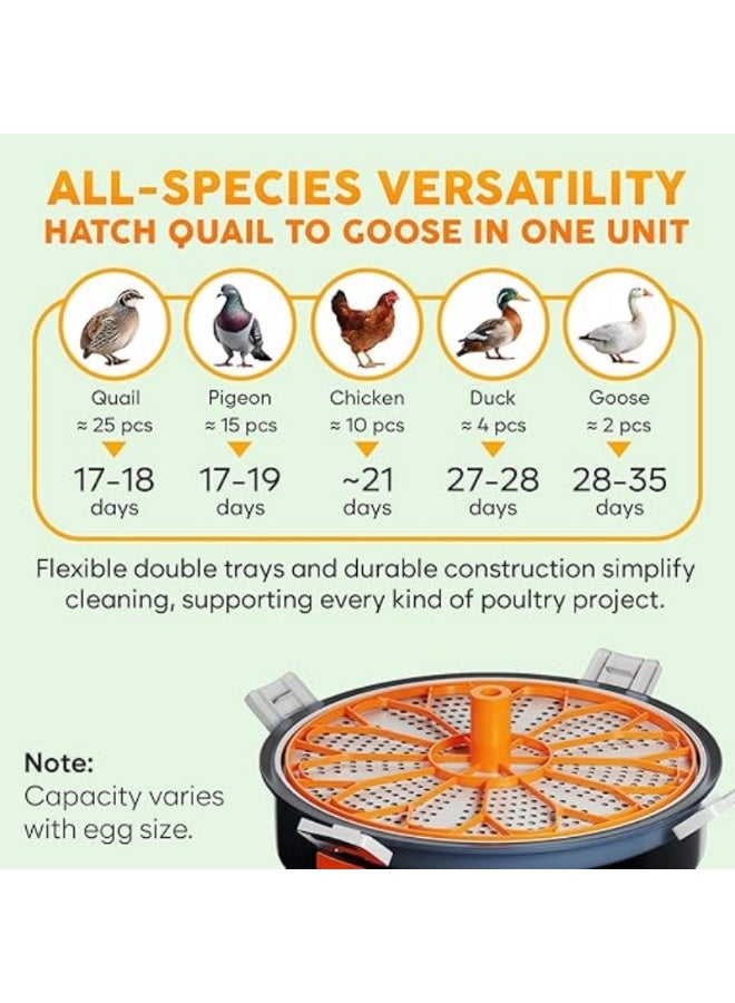 إم مياويان حاضنة بيض 12 بيضة مع تقليب أوتوماتيكي للتحكم بالرطوبة وتنظيم درجة الحرارة – حاضنة بيض دجاج مع فحص البيض المدمج – سهلة الاستخدام للفقس المنزلي - Image 5